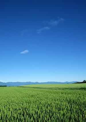 様々な公営の斎場利用も可能です