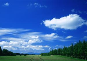 流山市で家族葬をしたいときには