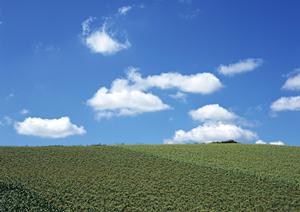 静岡浜松市の家族葬専門斎場【家族葬のタクセル佐鳴台】の特徴とサービス詳細