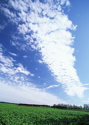 静岡県富士宮市の家族葬に最適な斎場｜家族葬のタクセル光町の特徴と安心のサービス内容