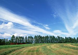 静岡市葵区に新しくオープンした家族葬専門斎場「家族葬のタクセル長沼」の魅力と特徴