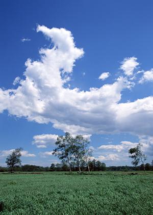 静岡市の家族葬・火葬を低価格で実現!家族葬のタクセルの特徴と店舗情報