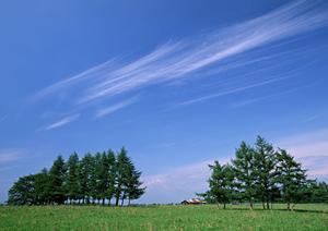 静岡市で信頼される葬儀場【富士葬祭 慈悲尾】の特徴とご案内