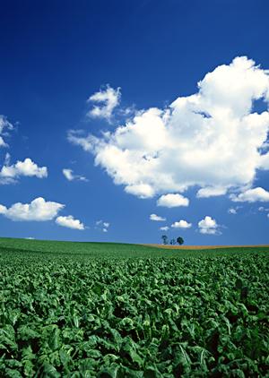 静岡県浜松市にある家族葬のタクセル天竜川駅前：安心と低価格を実現する家族葬専門斎場