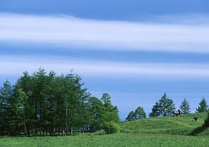 【2025年最新版】浅草のお墓選びと供養のポイント完全ガイド