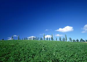 静岡県焼津市の家族葬に最適な斎場|家族葬のタクセル焼津の特徴とメリット