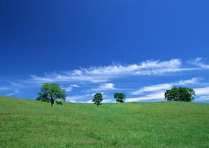 静岡県富士市青島町にある家族葬に最適な葬儀場「富士葬祭 富士青島」の詳細と特徴