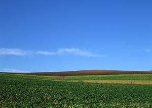 静岡県焼津市の信頼できる葬儀会場【富士葬祭 焼津】の詳細ガイド