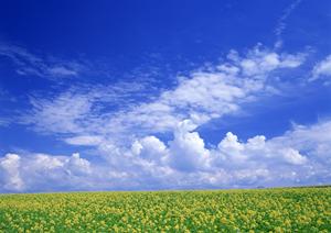 403 Forbiddenエラーの理解と解決法|ウェブサイトアクセス問題の原因と対処法