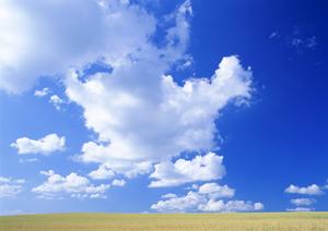 浜松市を中心に展開する信頼の葬儀サービス【富士葬祭 植松町】の特徴と詳細情報