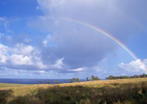 静岡県で安心&低価格の家族葬を対応!家族葬のタクセルの魅力と店舗情報