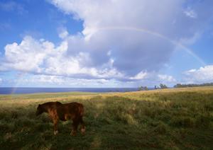 静岡県藤枝市の家族葬専門斎場【家族葬のタクセル高柳】:安心低価格・完全貸切のプライベート葬儀場