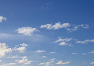 静岡市における信頼の葬儀サービス【富士葬祭みずほ】の特徴と詳細情報