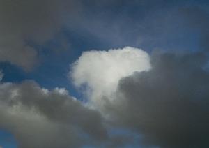 静岡市清水区の信頼できる葬儀場【富士葬祭清水有東坂】の特徴とサービス内容詳細ガイド