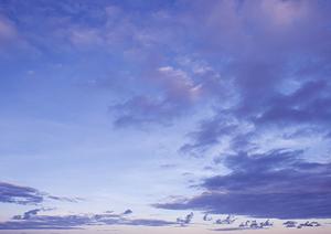 静岡県焼津市の家族葬専門斎場「家族葬のタクセル西焼津」:低価格で安心の家族向け葬儀サービス